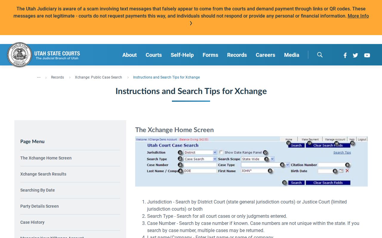 San Juan County criminal case XChange search field help